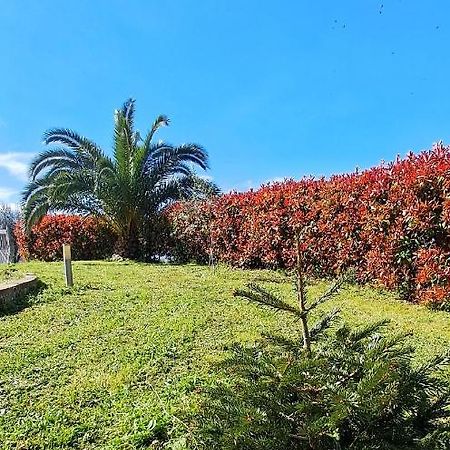 La Bella Addormentata Bed and Breakfast Chieti Buitenkant foto