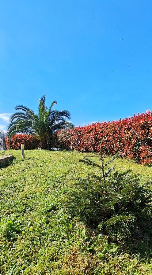 La Bella Addormentata Bed and Breakfast Chieti Buitenkant foto